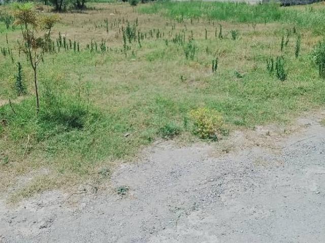 D12/1 40x80 level heighted Plot For Sale Islamabad D 12 ID 82528