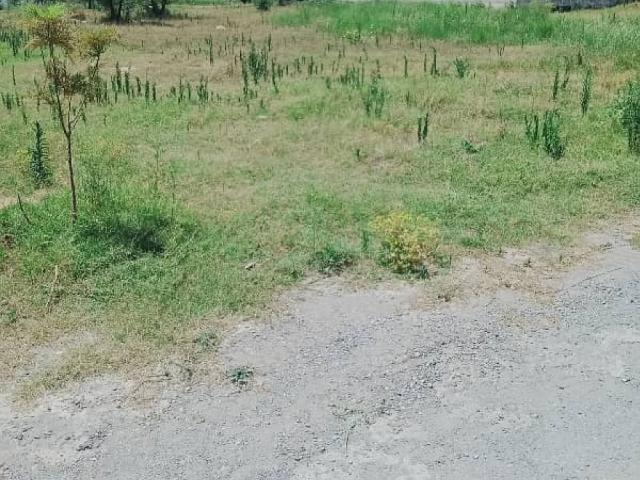 D12/1 40x80 level heighted Plot For Sale Islamabad D 12 ID 82528