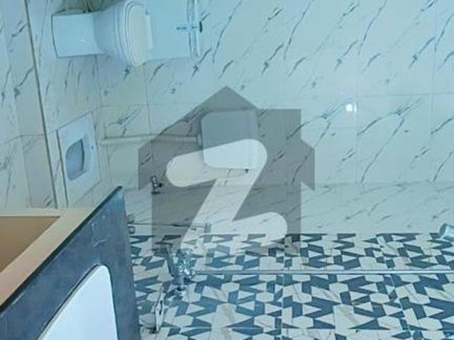 D12 Full house 10 Marla For Rent D 12