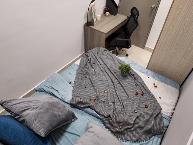 D7 Blok Seven Lagoon Perdana Condo Small Bedroom With Balcony Unit NEW FURNITURES