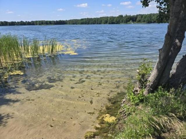 Dąb Polski, ul. Liliowa, 1002 m² Działka