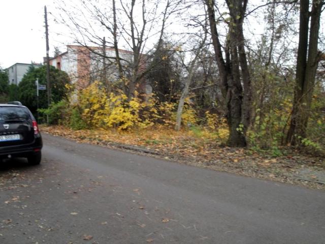 Dębiec 487 m², Poznań