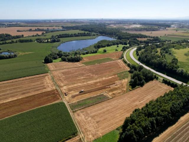 Dębina 8 449 m², Jastrzębie Zdrój