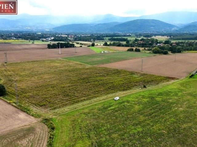 Dębowa 11 925 m², Wojcieszyce