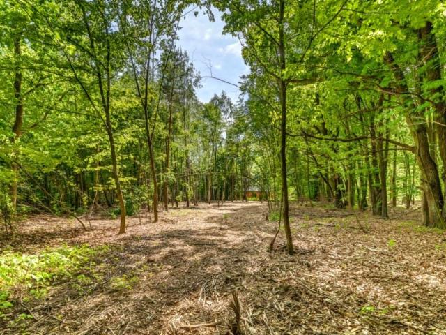Dębowa 2 670 m², Jabłonna