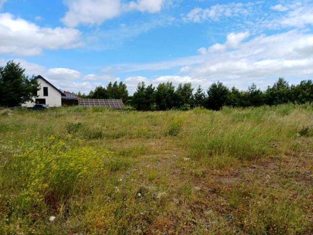 Dębowa 2 327 m², Trzcińsk