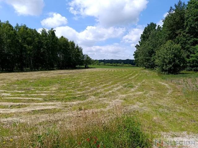 Dębowa 4 800 m², Błogoszcz