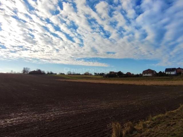 Dębowa 913 m², Czernica