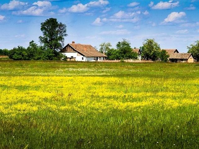 Dąbrowa Szlachecka 5 000 m², Czernichów
