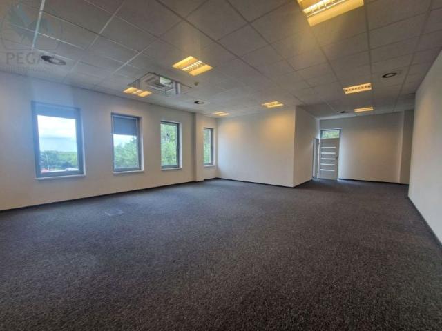 Dąbrowa 160 m², Dąbrowa