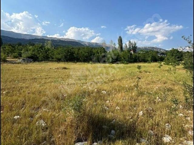 D&S GAYRIMENKUL DEN TOROSLARDA SATILIK 2.800 M2 TARLA