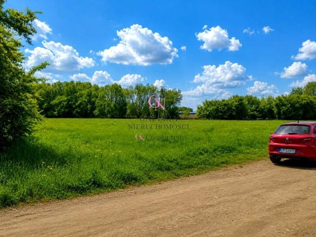 Długa 1 379 m², Górsk