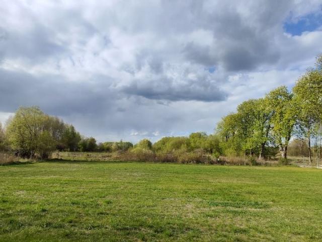 Długa 1 607 m², Kaleń Towarzystwo