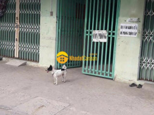 Dãy trọ 13 phòng, thu nhập ổn định ở xã tân bửu, bến lức dt 375m2 giá 12 tỷ