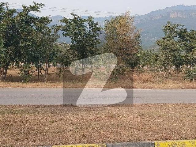 D 12/2 500syd Level Plot For Sale