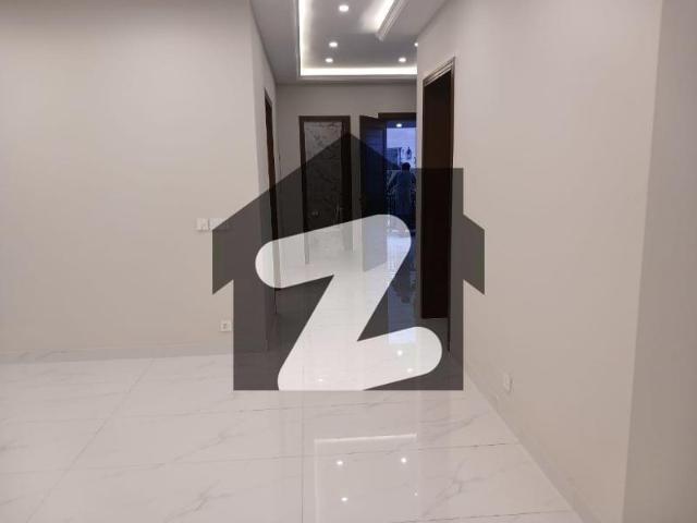 D 12 House Sized 14 Marla For sale D 12