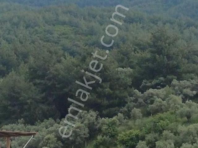 Dağ Ve Deniz Manzaralı Full Eşyalı Dublex Daire