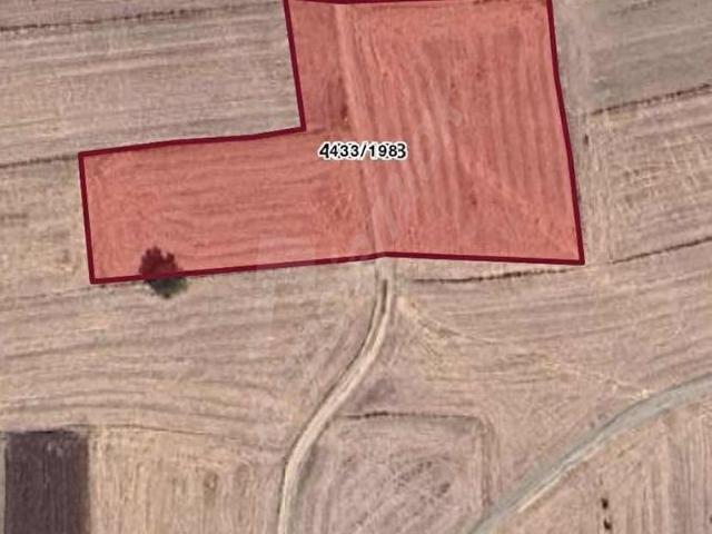 ŞOOOK FİYAT ! YOLU AÇIK MÜSTAKİL TEK TAPULU 7.491 metre TARLA