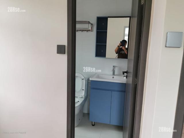 大埔江庫花園 #3794 租盤樓盤詳細資料