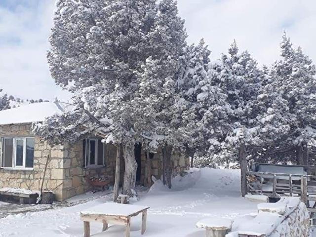 DAĞ EVİ VE BAHÇESİ