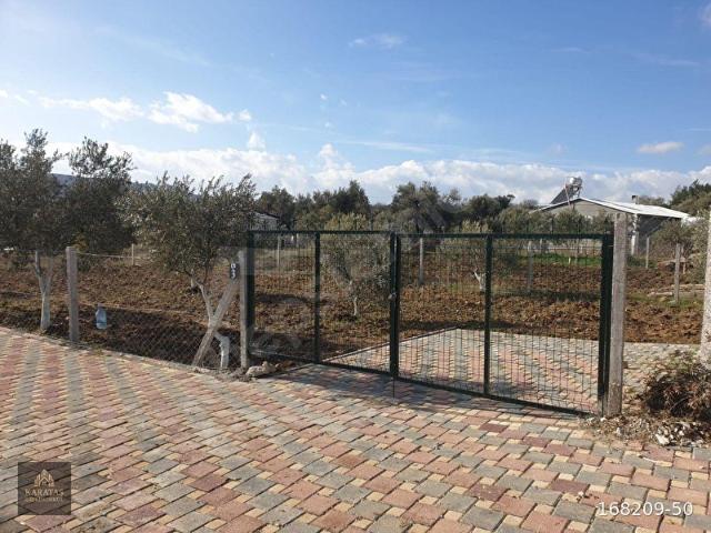 Dağkızılca da Satılık 406m2 İçinde Evi Olan Zeytinlik