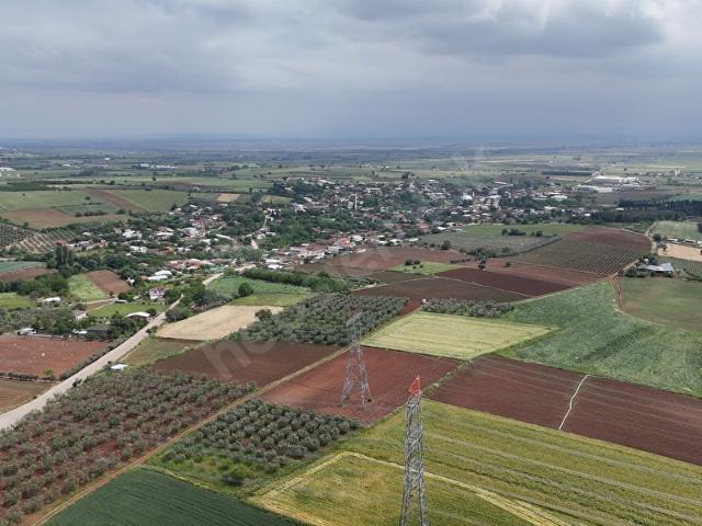 DAĞKADI DA SATILIK 3325m2 BÖLÜNMÜŞ TAPULU VERİMŞİZEYTİNLİK