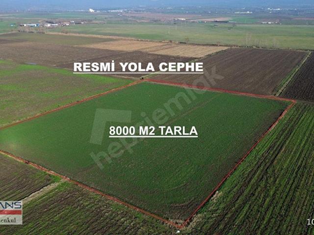 DAĞKADI DA 8000 M2 TEK TAPU SATILIK FIRSAT TARLA