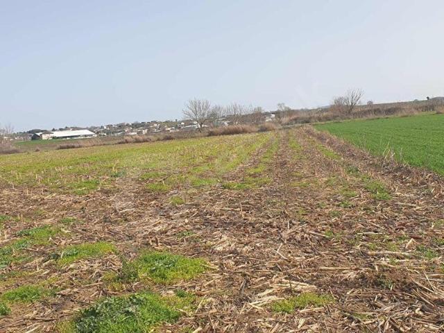 DAĞKADIDA SATILIK 9.600 m2 TARLA