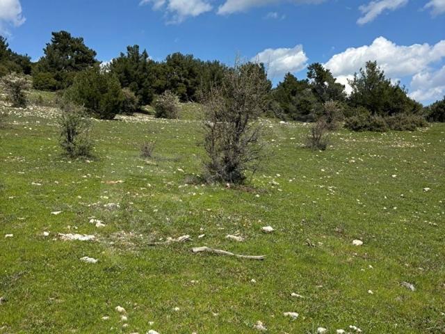 Damlacık Boğazlıyan Mevkin'de Satılık 3188.44 m2 Tarla