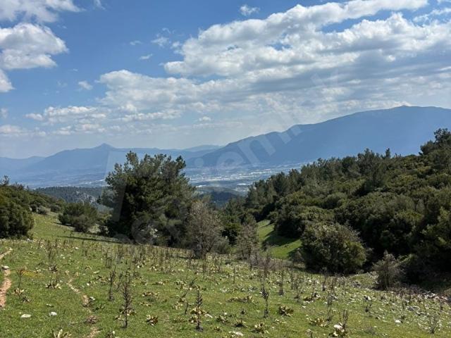 Damlacık'ta 1781.91 m2 Tarla