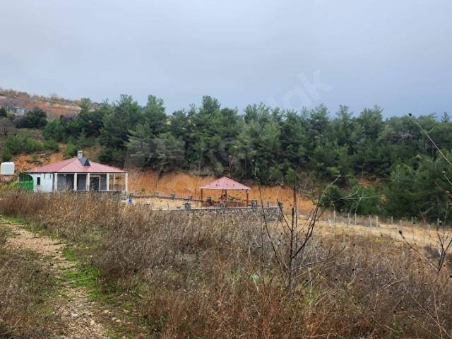 DAMLACIKTA 500M2 SATILIK BAHÇE