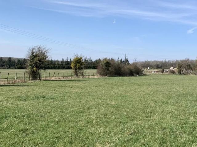 Dammartin en Serve Vente Terrain 78