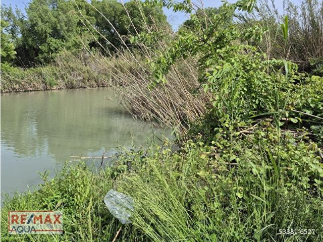 DANACI MEVKİİ KÖPRÜÇAY KENARI SATILIK 1065 m TARLA HİSSESİ