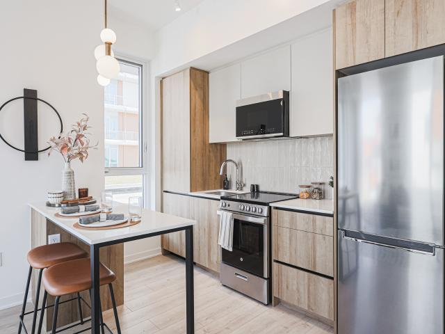 Daniels MPV2 East 27 A Apartment for Rent