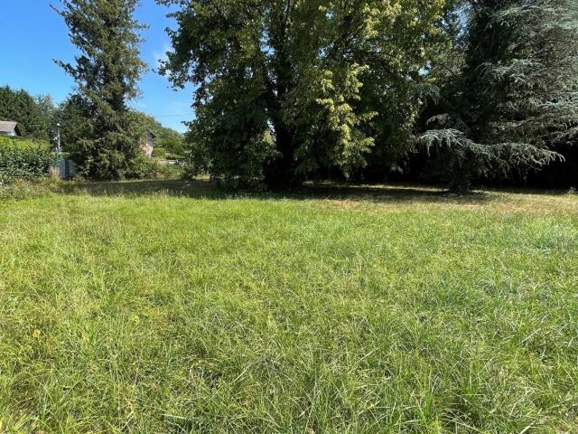 DANNEMARIE: Beau terrain plat de 10 ares