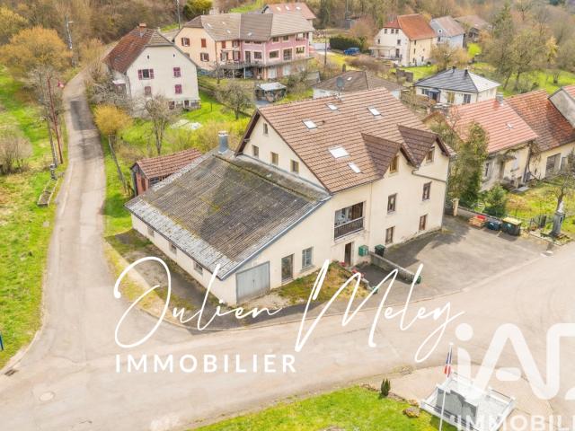 Dannemarie Vente Immeuble 25