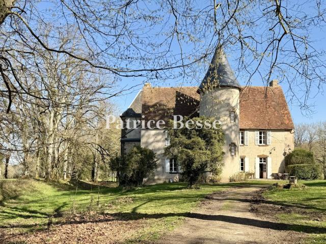 Dans la campagne berrichonne, un manoir du 16e s. entouré de. 600m² Argenton sur Creuse