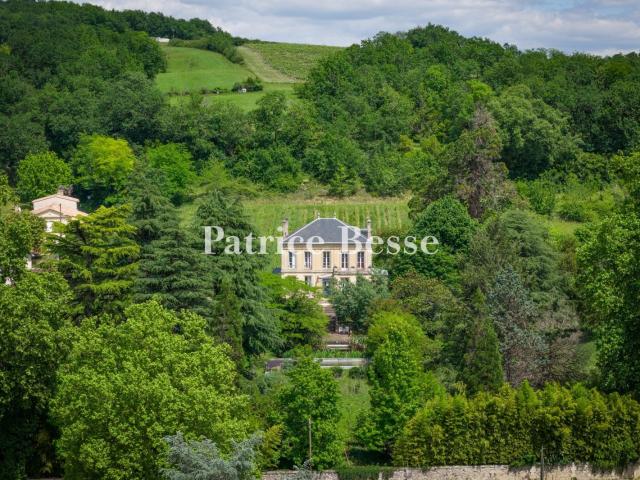 Dans l'Entre deux Mers, à 30 min de Bordeaux, un château vit. 230m² Lestiac sur Garonne