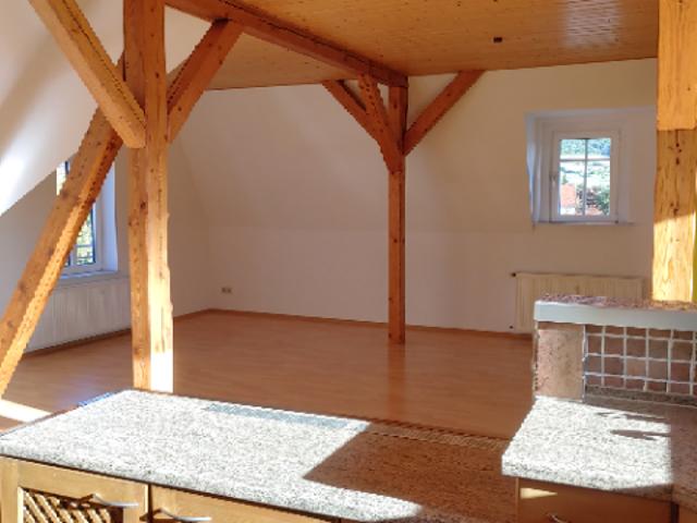Große Dachgeschosswohnung auf 2 Ebenen mit unverbaubarem Fernblick