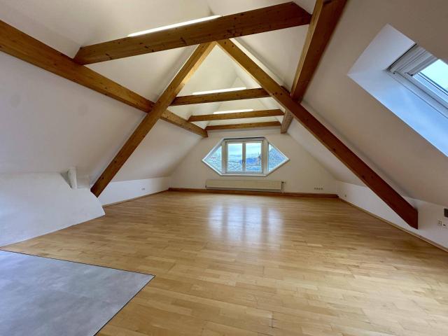 DACHGESCHOSS LOFT MIT DONAU UND STIFTBLICK
