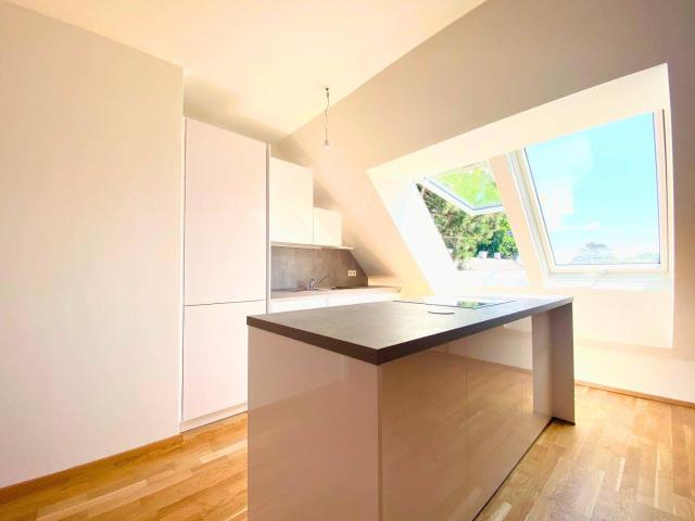 Dachgeschoß Wohnung mit riesiger Terrasse