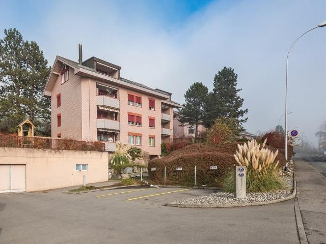 Dachwohnung mit herrlicher Aussicht