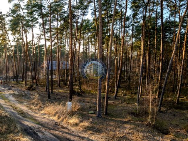 Daglezji 1 555 m², Dziwnów