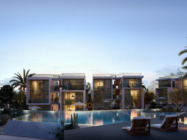Daire 1+ İskele, 225564