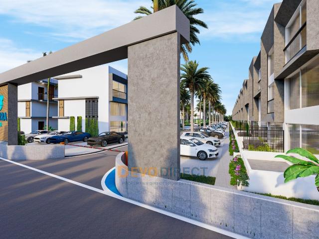 Daire 1+ İskele, 226133