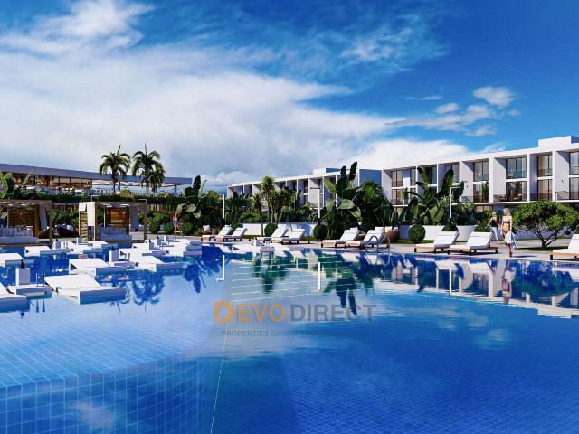 Daire 1+ İskele, 226172