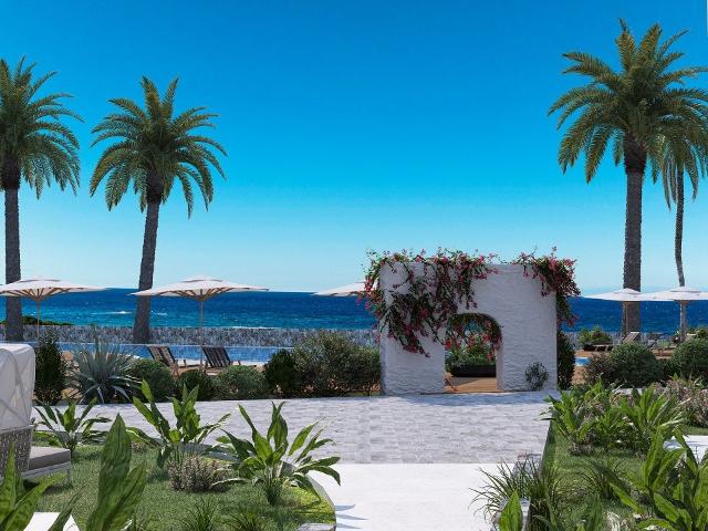 Daire Girne, 210738