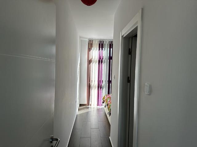 Daire Girne, 210546
