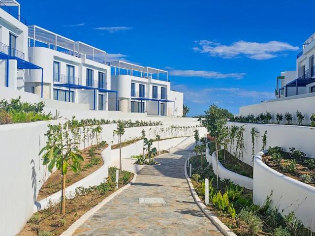 Daire Girne, 212954