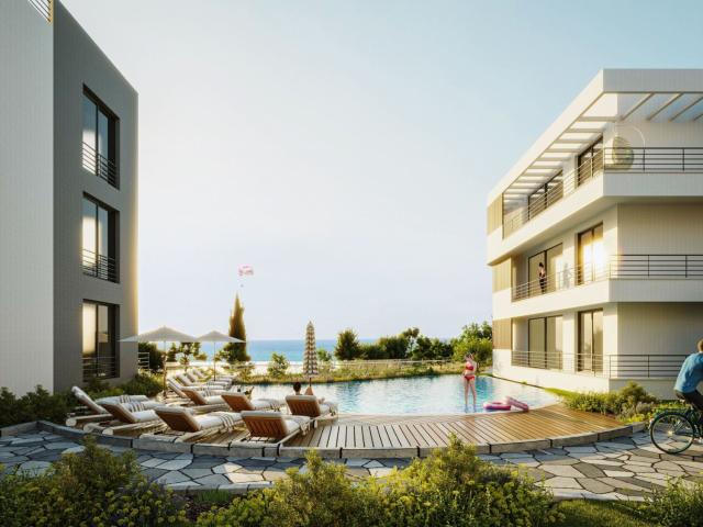 Daire Girne, 217139